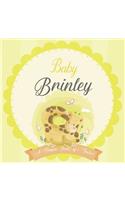 Baby Brinley A Simple Book of Firsts