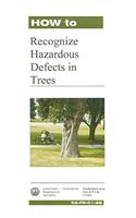 How to Recognize Harzardous Defects in Trees