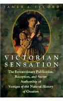 Victorian Sensation