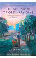 The Splendor Of Ordinary Days: Watervalley Book 3,
