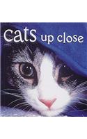Cats Up Close: Miniseries