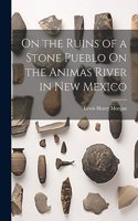 On the Ruins of a Stone Pueblo On the Animas River in New Mexico