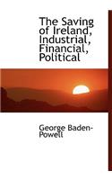 The Saving of Ireland, Industrial, Financial, Political