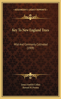 Key To New England Trees
