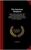 The American Shepherd