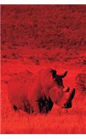 Alive! white rhino - Red duotone - Photo Art Notebooks (6 x 9 series)