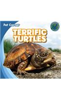 Terrific Turtles
