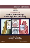 Student Workbook for Illustrated Dental Embryology, Histology and Anatomy