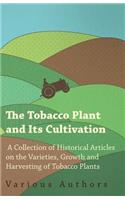 Tobacco Plant and Its Cultivation - A Collection of Historical Articles on the Varieties, Growth and Harvesting of Tobacco Plants
