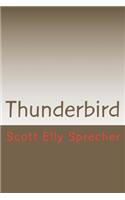 Thunderbird