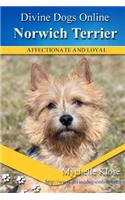 Norwich Terrier