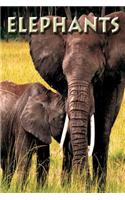 Elephants