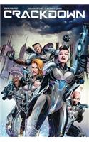 Crackdown