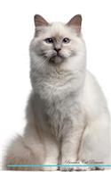 Birman Cat Affirmations Workbook Birman Cat Presents: Positive and Loving Affirmations Workbook. Includes: Mentoring Questions, Guidance, Supporting You.