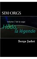 Sim-Orgs