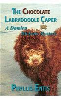 Chocolate Labradoodle Caper