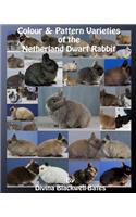 Colour & Pattern Varieties of the Netherland Dwarf Rabbit