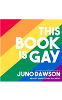 This Book Is Gay