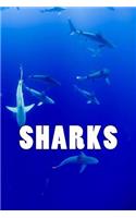 Sharks (journal / notebook)