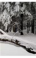 Winter Journal Fallen Tree Snow