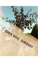 Volume One, Open Soul Surgery, deluxe large print color edition