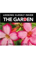 Looking Closely inside the Garden