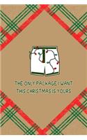 The Only Package I Want This Christmas Is Yours