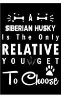 A Siberian Husky is the only Relative you get to choose