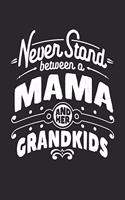 Never Stand Between A Mama And Her Grandkids: Family life Grandma Mom love marriage friendship parenting wedding divorce Memory dating Journal Blank Lined Note Book Gift