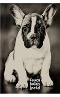 French Bulldog Journal
