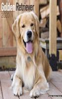 GOLDEN RETRIEVER W 2020
