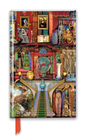 Aimee Stewart: Museum Bookshelves (Foiled Journal): (Flame Tree Notebooks)