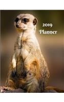 2019 Planner