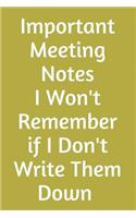 Important Meeting Notes I Won't Remember If I Don't Write Them Down: Blank Lined Journal - Office Worker Journal - Gag Gift for Coworker