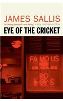 Eye of the Cricket