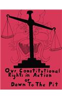 Our Constitutional Rights In Action Or Down To The Pit