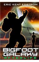 Bigfoot Galaxy