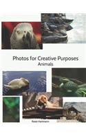 Photos For Creative Purposes