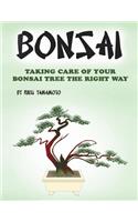 Bonsai: Taking Care of Your Bonsai Tree the Right Way