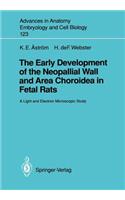Early Development of the Neopallial Wall and Area Choroidea in Fetal Rats