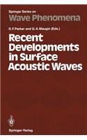 Recent Developments in Surface Acoustic Waves