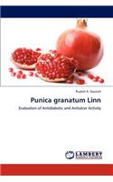 Punica Granatum Linn