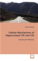 Cellular Mechanisms of Hippocampal LTP and LTD Learning and Memory