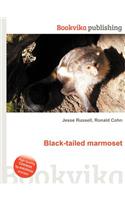 Black-Tailed Marmoset