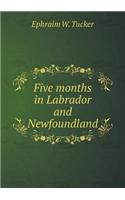 Five Months in Labrador and Newfoundland