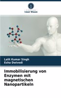 Immobilisierung von Enzymen mit magnetischen Nanopartikeln