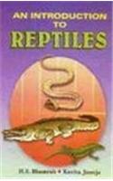 An Introduction To Reptiles