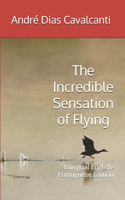 Incredible Sensation of Flying