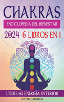 Chakras Enciclopedia del Bienestar