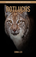 Rotluchs